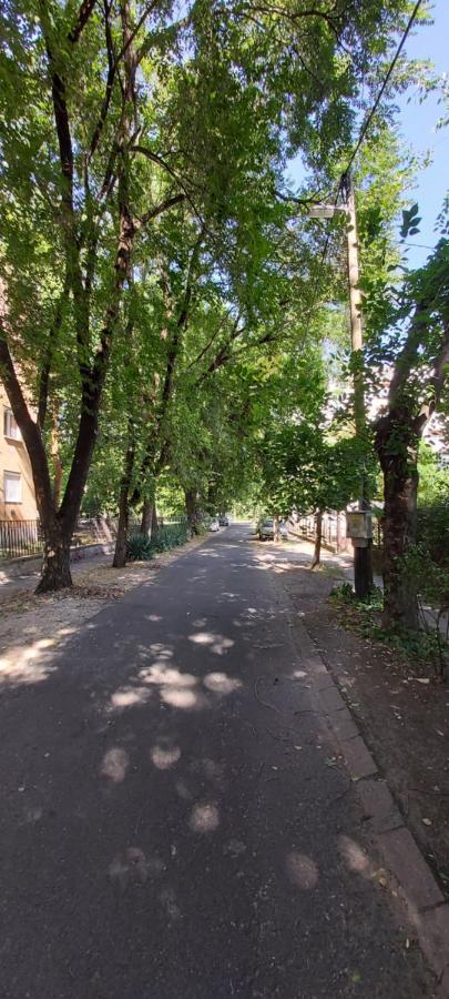 Gabrielle2 Apartman Ντέμπρετσεν Εξωτερικό φωτογραφία
